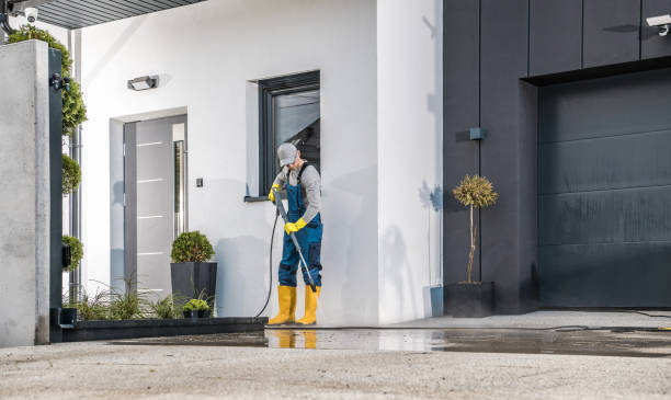 Best Driveway Pressure Washing  in Kapolei, HI